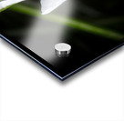 White Flower Acrylic print