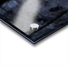 Quiet Snowfall Acrylic print