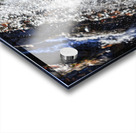 Still Falls Acrylic print