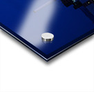 Sweet Baltimore Acrylic print