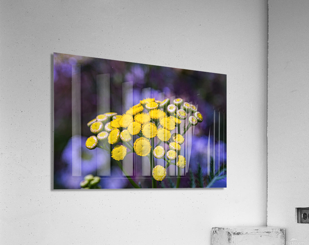 A Natural Bouquet Acrylic Print