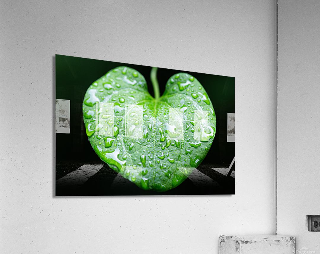 Simple Rain Acrylic Print