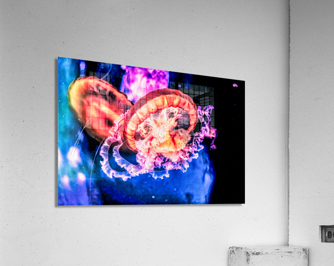 Im In Love With The Jellyfish Acrylic Print