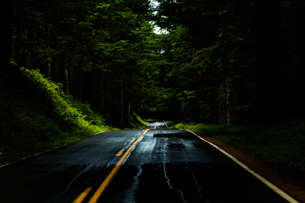 Roads After Rains Digital Download