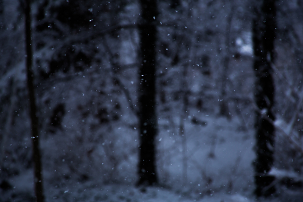 Quiet Snowfall Digital Download