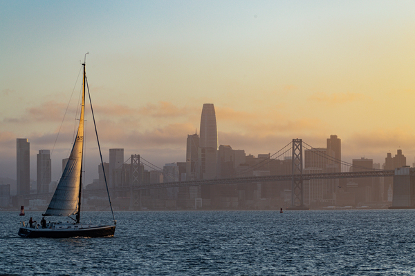 San Francisco Sails Digital Download