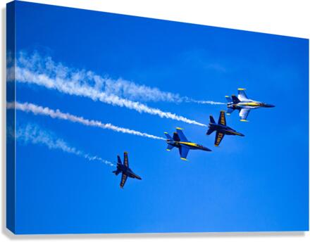 Formation  Canvas Print