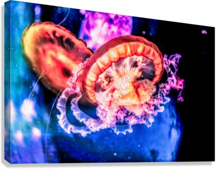 Im In Love With The Jellyfish  Canvas Print