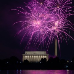 D.C. Fireworks-Purple Edition