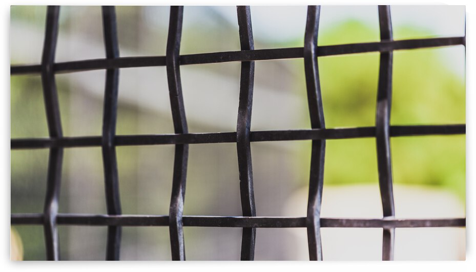 Through the Screen by Nativ