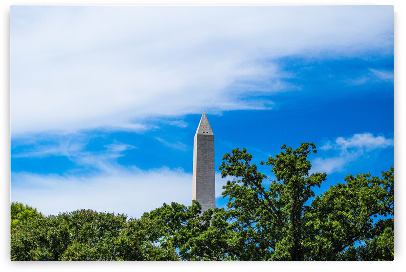 Distant D.C. by Nativ