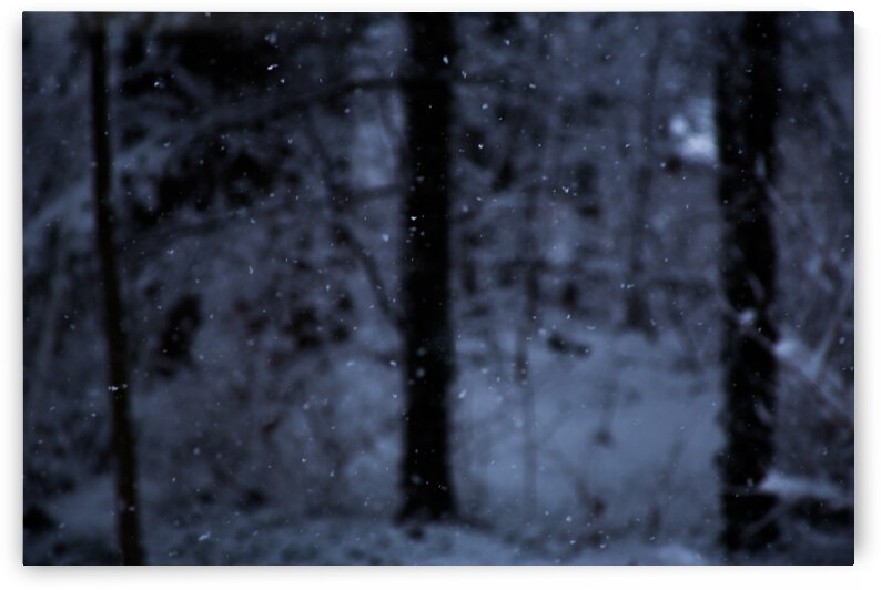 Quiet Snowfall by Nativ