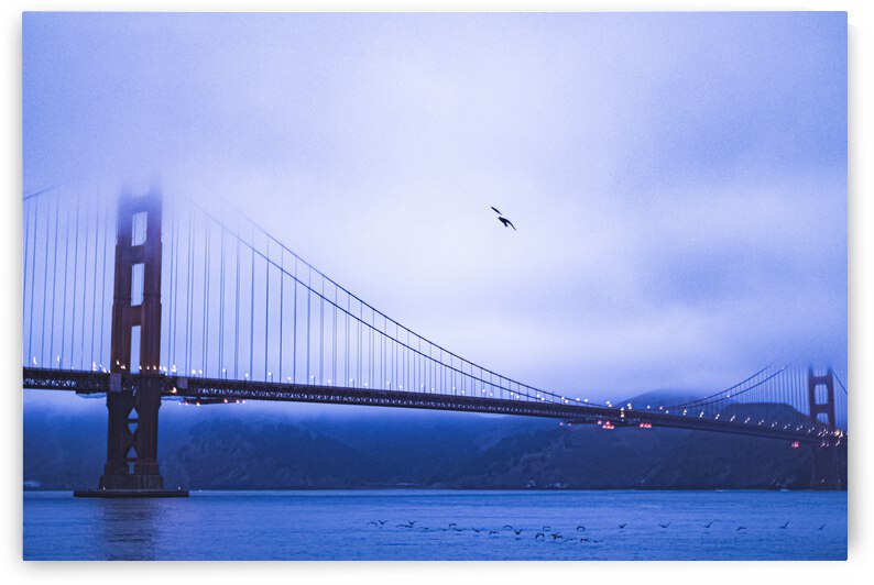 Golden Gate Bridge by Nativ