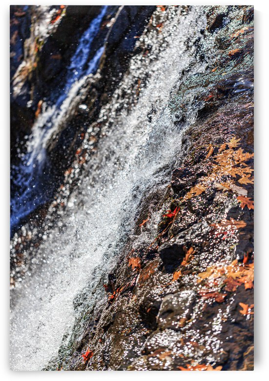 Still Falls by Nativ