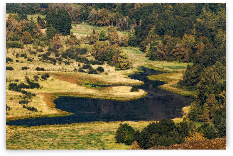 Hidden Lake by Nativ