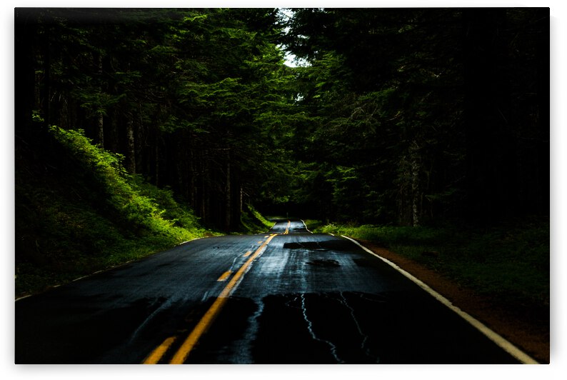 Roads After Rains by Nativ