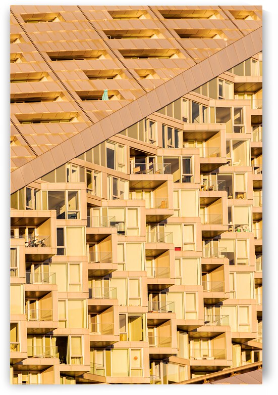 Modern Life by Nativ