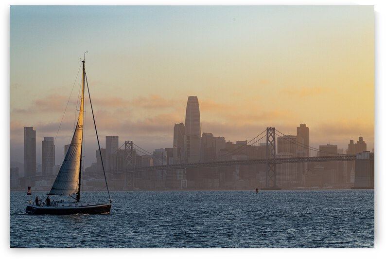 San Francisco Sails by Nativ