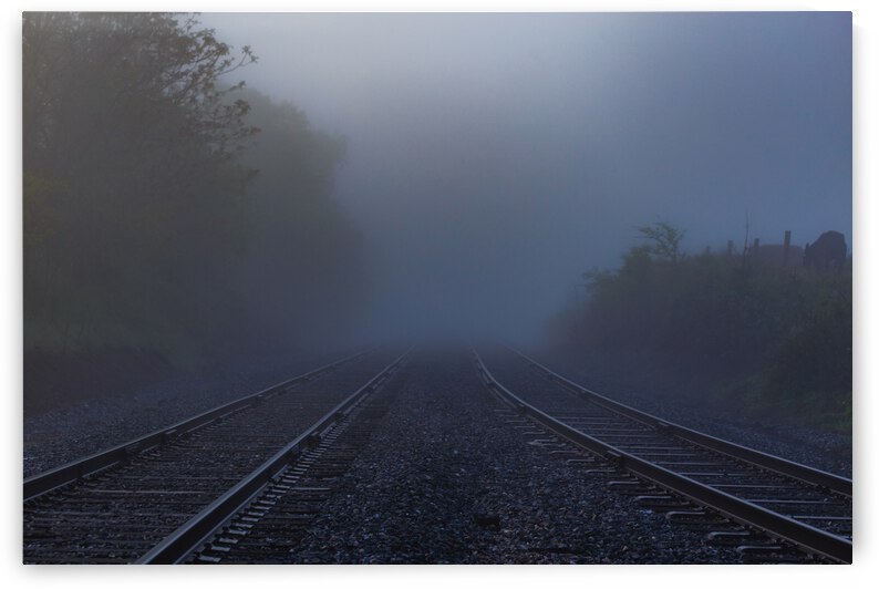 Early Morning Train Tracks by Nativ