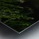 Heron Takes Flight Metal print