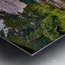 Waterscape Park Metal print