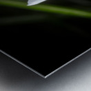 White Flower Metal print