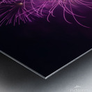 D.C. Fireworks-Purple Edition Metal print