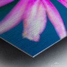 Purple Flower Metal print