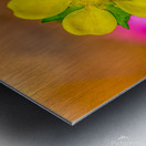 On a Mission Metal print