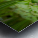 Little Water Metal print