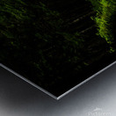 Roads After Rains Metal print