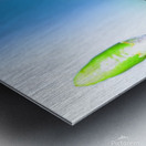 Life Cycle Metal print