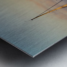 San Francisco Sails Metal print