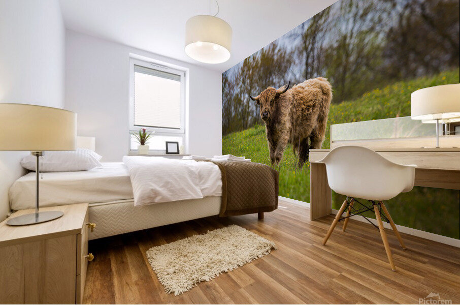 The Hairy Cow Mural print