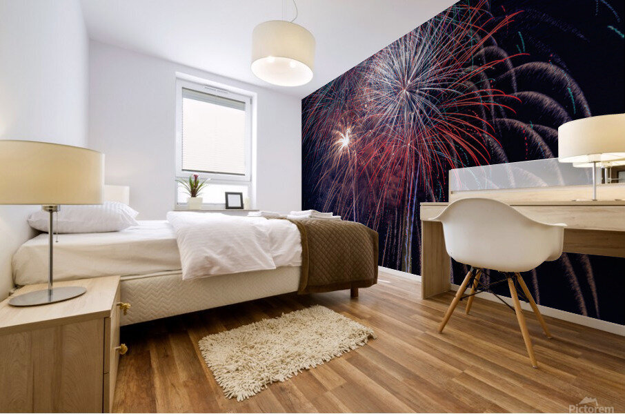 D.C. Fireworks-Extreme Edition Mural print