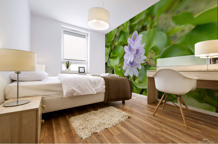 Little Water Mural print