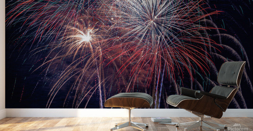 D.C. Fireworks-Extreme Edition Wall Murals