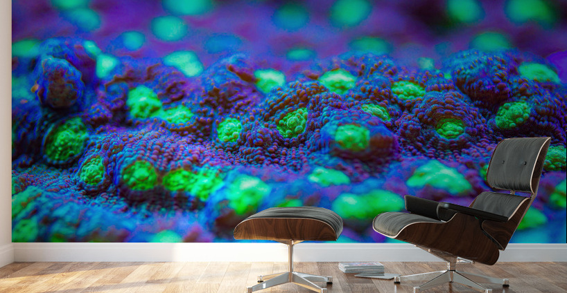 Deep Sea Anemone Wall Murals