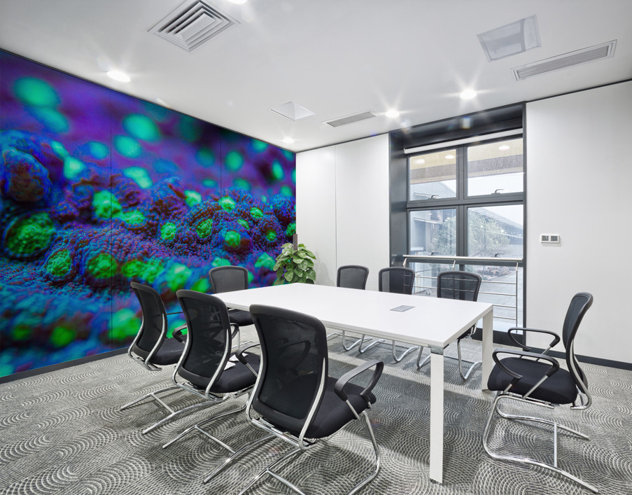 Deep Sea Anemone Wall Printing