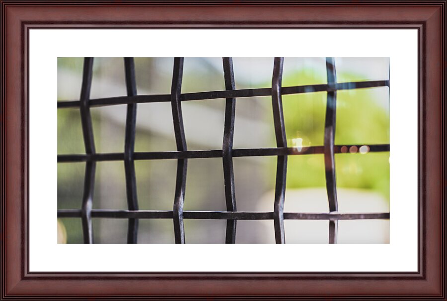 Through the Screen Picture Frame print