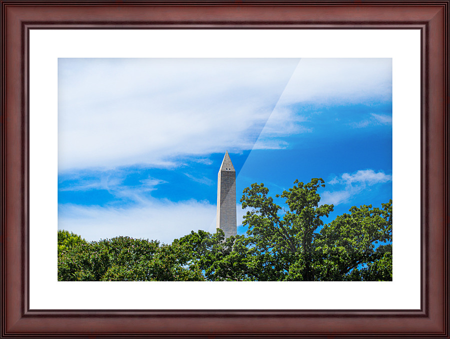 Distant D.C. Picture Frame print
