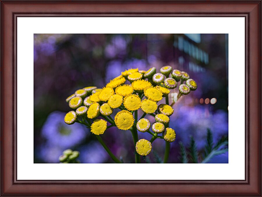 A Natural Bouquet Picture Frame print