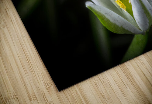 White Flower Nativ puzzle