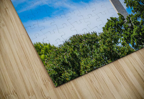 Distant D.C. Nativ puzzle