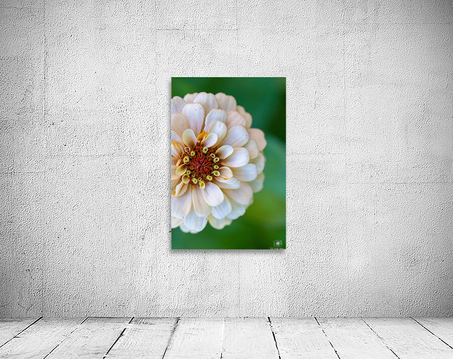 Sweet Flower Wall Preview