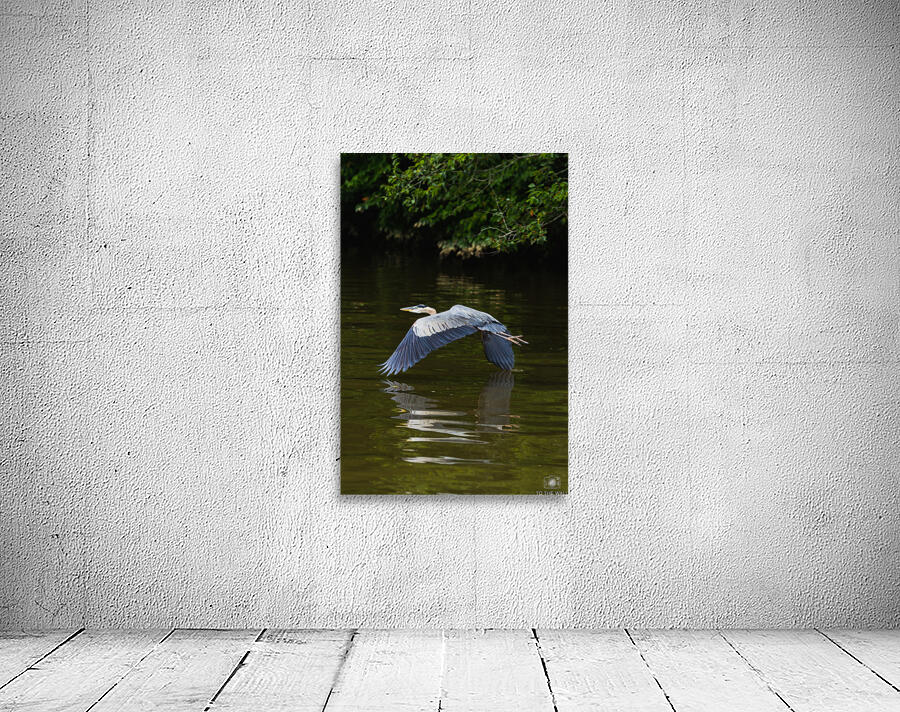 Heron Takes Flight Wall Preview