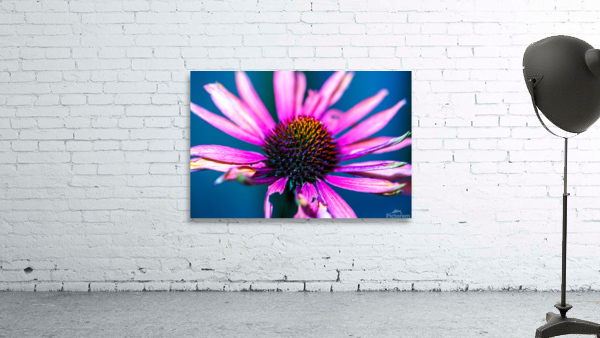 Purple Flower Wall Preview