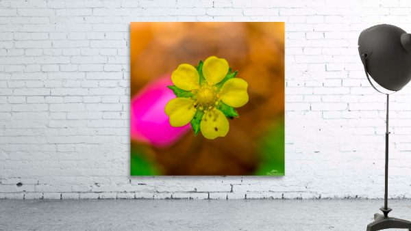 On a Mission Wall Preview