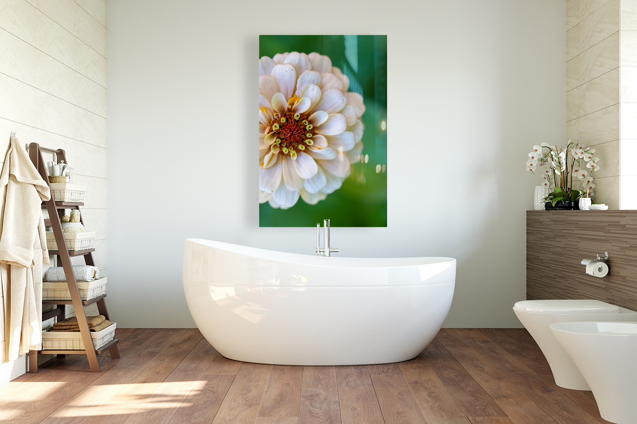 Sweet Flower Reproduction