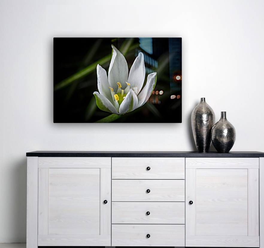 White Flower Reproduction